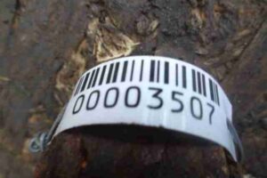 Изображение товара 3507 - 00003507 rychag perednij levyj nizhnij Renault Logan 1