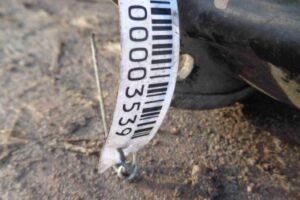 Изображение товара 3539 - 00003539 podushka krepleniya dvigatelya 3