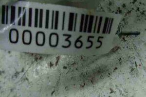 Изображение товара 3655 - 00003655 zamok bagazhnika Citroen C5 2