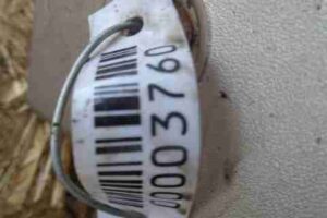 Изображение товара 3760 - 00003760 porog plastikovyj pravyj Renault Twingo 2