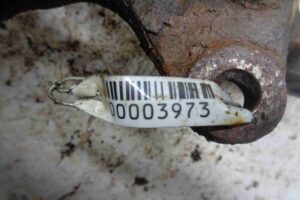 Изображение товара 3973 - 00003973 kulak povorotnyj pravyj Citroen Berlingo 2