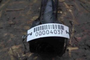 Изображение товара 4037 - 00004037 rychag perednij levyj verkhnij 1