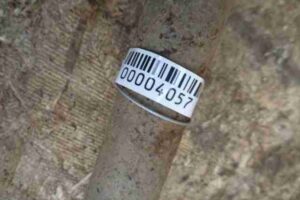 Изображение товара 4057 - 00004057 poluos zadnyaya levaya Audi Q7 3