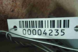 Изображение товара 4235 - 00004235 magnitola 2