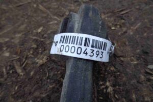 Изображение товара 4393 - 00004393 rychag zadnij pravyj verkhnij Ford Scorpio 1