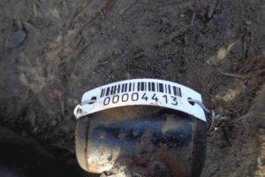 Изображение товара 4413 - 00004413 rychag perednij pravyj nizhnij 1