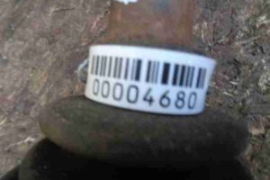 Изображение товара 4680 - 00004680 poluos perednyaya pravaya Lexus GS 1