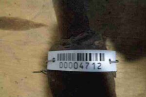 Изображение товара 4712 - 00004712 rychag zadnij levyj 1