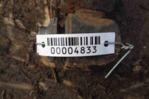 Изображение товара 4833 - 00004833 amortizator zadnij pravyj 2