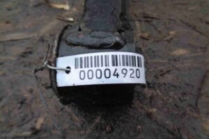 Изображение товара 4920 - 00004920 rychag perednij pravyj verkhnij 1