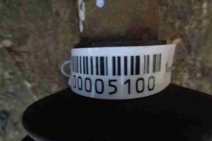 Изображение товара 5100 - 00005100 poluos perednyaya pravaya Lexus RX 1