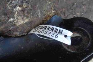 Изображение товара 5226 - 00005226 rychag zadnij pravyj nizhnij Pontiac Vibe 3