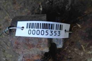 Изображение товара 5353 - 00005353 amortizator zadnij pravyj 2