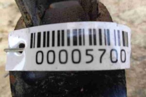 Изображение товара 5700 - 00005700 podushka krepleniya kpp 1