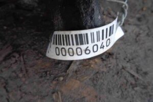 Изображение товара 6040 - 00006040 kulak povorotnyj pravyj 1