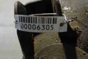 Изображение товара 6305 - 00006305 rychag perednij pravyj nizhnij SEAT Leon