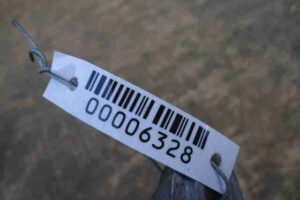 Изображение товара 6328 - 00006328 kronshtejn kpp 3