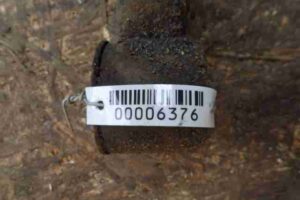 Изображение товара 6376 - 00006376 rychag zadnij levyj 2