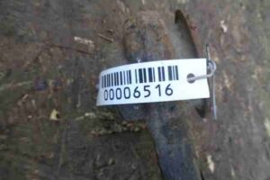 Изображение товара 6516 - 00006516 rychag zadnij levyj verkhnij Toyota Venza 2