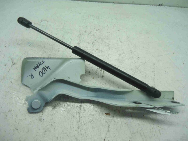 Изображение товара 6755 - 00006755 petlya kapota pravaya