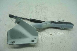 Изображение товара 6755 - 00006755 petlya kapota pravaya 1