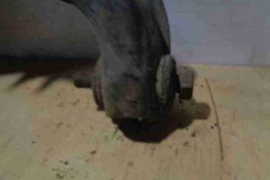 Изображение товара 7029 - 00007029 rychag perednij levyj nizhnij Infiniti G 1