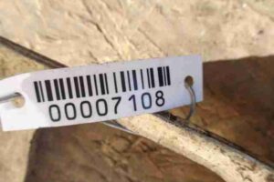 Изображение товара 7108 - 00007108 zaschita perednego bampera 3