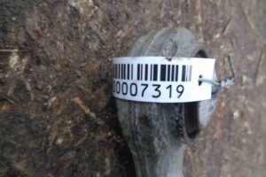 Изображение товара 7319 - 00007319 rychag zadnij levyj verkhnij Honda Ridgeline 3