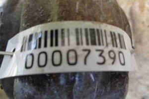 Изображение товара 7390 - 00007390 rychag perednij pravyj nizhnij Honda Ridgeline 1