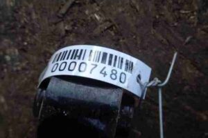 Изображение товара 7480 - 00007480 amortizator zadnij pravyj Lexus RX 1