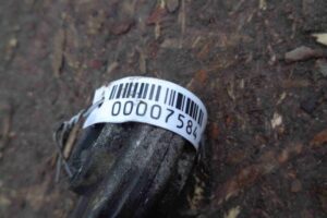 Изображение товара 7584 - 00007584 rychag zadnij pravyj verkhnij Ford Scorpio 3