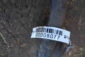 Изображение товара 8077 - 00008077 rychag zadnij pravyj verkhnij Toyota Venza 3