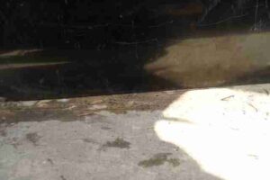 Изображение товара 8106 - 00008106 dver perednyaya pravaya Audi Allroad 1