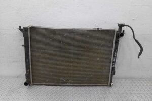 Изображение товара 8109 - 00008109 radiator dvs Pontiac TransSport