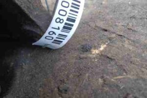 Изображение товара 8160 - 00008160 support zadnij levyj Peugeot 306 2