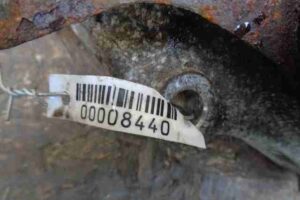 Изображение товара 8440 - 00008440 kulak povorotnyj levyj Pontiac Vibe 2