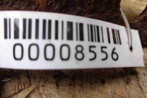 Изображение товара 8556 - 00008556 balka perednyaya 3