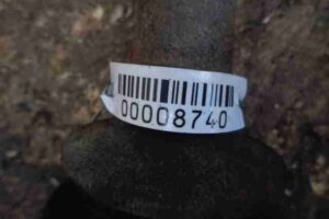 Изображение товара 8740 - 00008740 poluos zadnyaya levaya Lexus GS 1