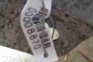 Изображение товара 8870 - 00008870 porog plastikovyj pravyj 1