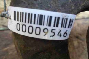 Изображение товара 9546 - 00009546 kulak povorotnyj levyj Lexus GS 1