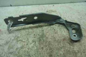 Изображение товара 9750 - 00009750 petlya kapota pravaya 