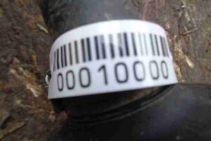 Изображение товара 10000 - 00010000 poluos perednyaya pravaya Ford Escort 2