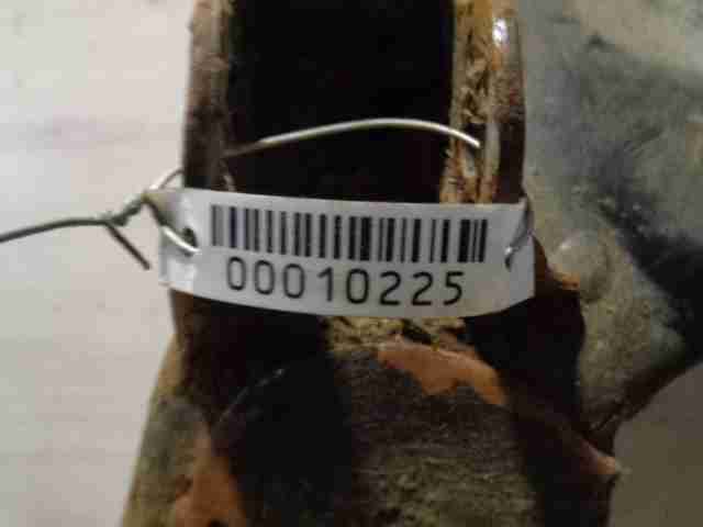 Изображение товара 10225 - 00010225 rychag perednij pravyj nizhnij SEAT Leon