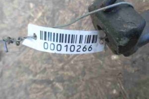 Изображение товара 10266 - 00010266 kulak povorotnyj levyj Ford Ka 1