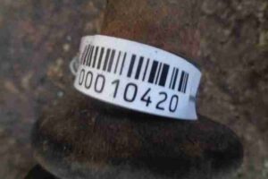 Изображение товара 10420 - 00010420 poluos zadnyaya pravaya Lexus GS 1