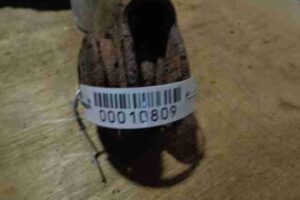 Изображение товара 10809 - 00010809 rychag zadnij pravyj 1