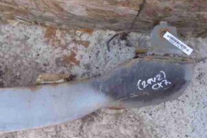 Изображение товара 11610 - 00011610 usilitel bampera perednij Citroen Berlingo