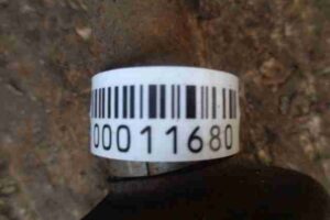 Изображение товара 11680 - 00011680 poluos zadnyaya levaya Lexus RX 1