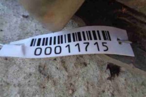 Изображение товара 11715 - 00011715 porog plastikovyj levyj Volvo S70 2