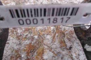 Изображение товара 11817 - 00011817 amortizator perednij levyj Ford Expedition 2